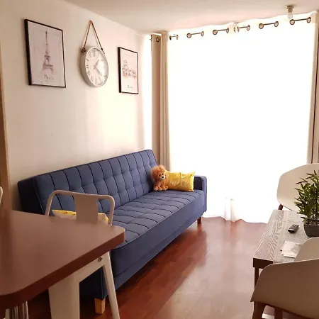 Departamento A Pasos De Metro Nuble Apartment